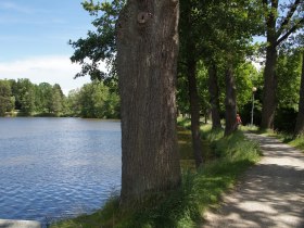 Damm Herrensee, &copy; Stadtgemeinde Litschau