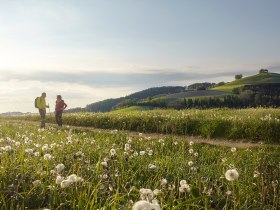 Wandern auf den Buckln bei Bad Sch&ouml;nau, &copy; Wiener Alpen in Nieder&ouml;sterreich