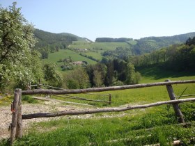 Buchberger Weg (Warth-Petersbaumgarten-Kaltenberg), &copy; Wiener Alpen in Nieder&ouml;sterreich - Bad Sch&ouml;nau
