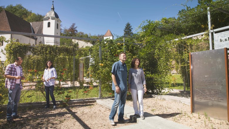 Kartah&aacute;z kerttel, &copy; Daniela Matejschek