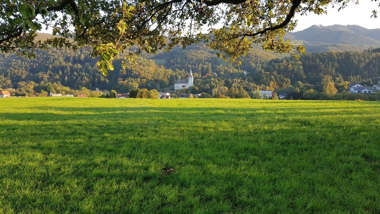 Templom Kaumberg