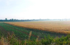 The Bronze Age cemeteries in Franzhausen, &copy; ARDIG/Volker Lindinger