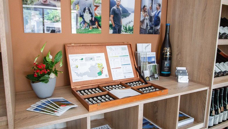 W.E.R.O Hagyjuk a bort besz&eacute;lni, &copy; Veronika Henkelova