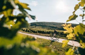 Auf zwei Rädern durch idyllische Weingärten, © Niederösterreich Werbung / Romeo Felsenreich