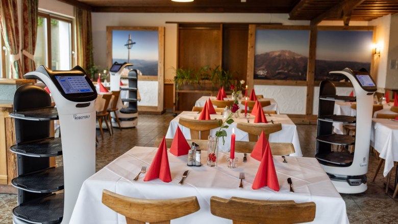 Felvon&oacute;, &copy; Kuhnert Rudolf