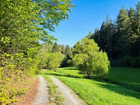 Wurmbrand, &copy; Dr. Markus Peham