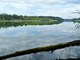 Am Altarmweg, &copy; Mostviertel - Jakobsweg