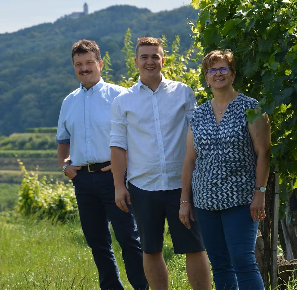 Ettenauer pincészet és hagyományos borozó