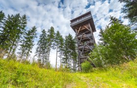 Megfigyelőtorony a Műhely, erdő &eacute;s v&iacute;z tematikus tan&ouml;sv&eacute;nyen