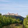 Goettweig Abbey with vineyards, &copy; Eveline Gruber