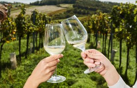 Toasting in the vineyard, &copy; Weinviertel Tourismus / Michael Liebert