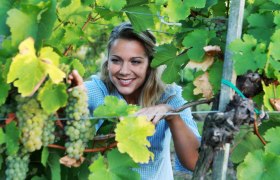 Grapes, &copy; Weinfranz.at