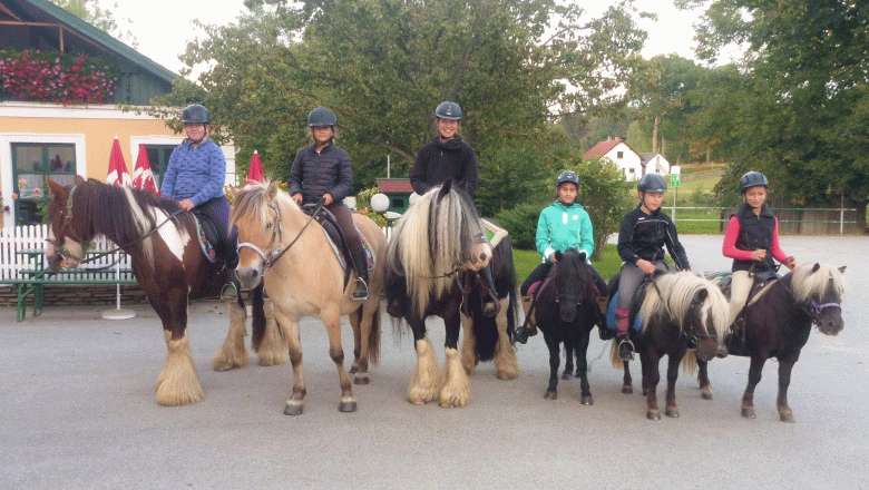 Holzm&uuml;hle Inn & Pony Farm, &copy; Birgit Taxb&ouml;ck