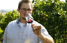 Viticulture Thomas Windholz, Bruck/Leitha, &copy; Weinbau Thomas Windholz