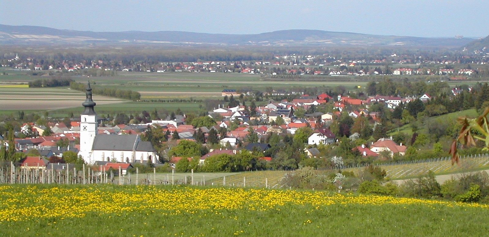 Königstetten látképe a templommal és a környező mezőkkel.