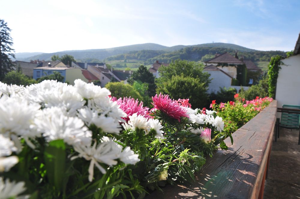 Vendégház Hofer