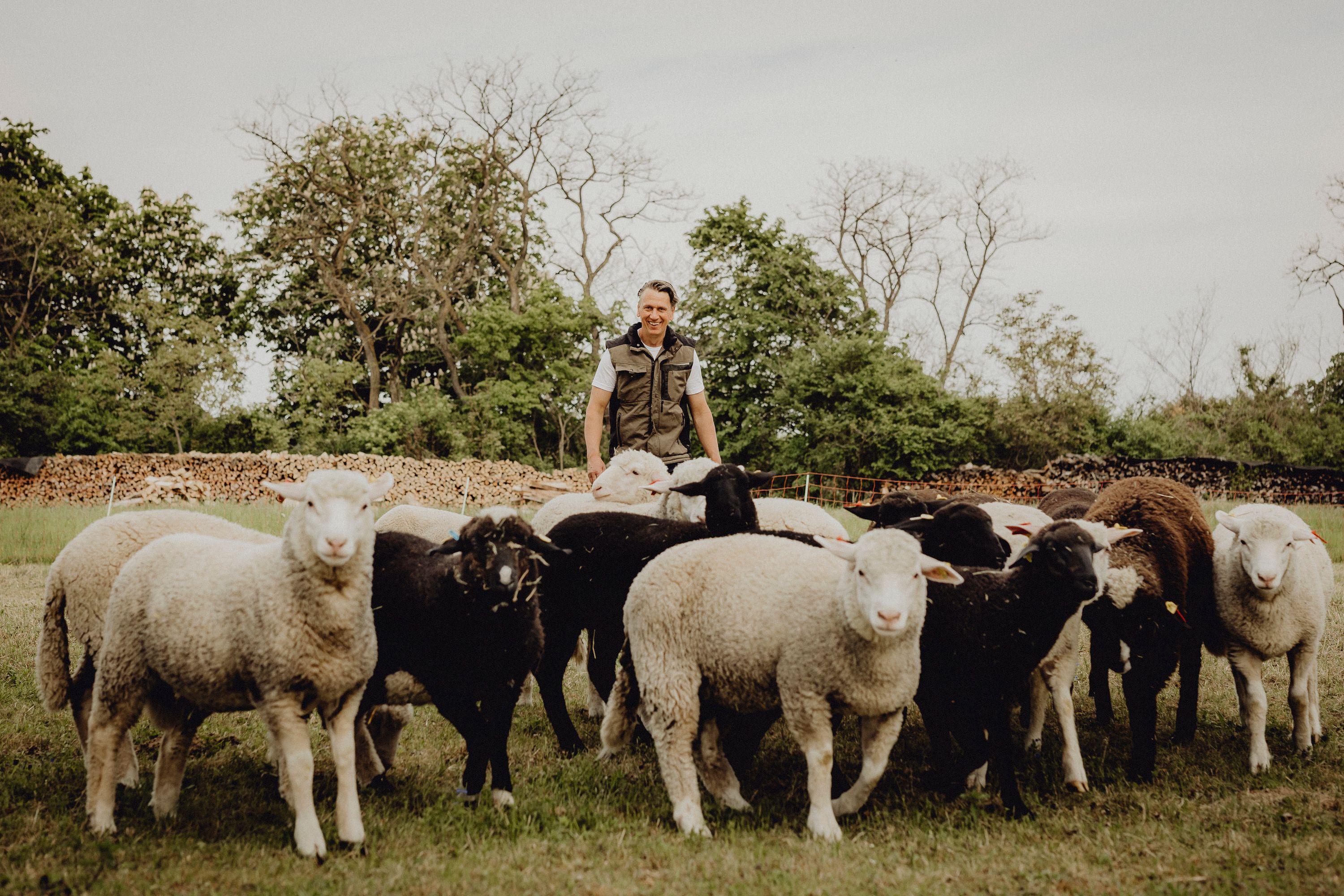Wirtshaus mit Landwirtschaft von Gemüse, Rind und Schaf