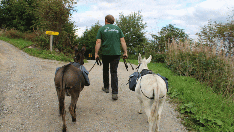 Holzm&uuml;hle Inn & Pony Farm, &copy; Birgit Taxb&ouml;ck