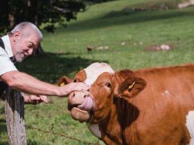 Frieslingalm, &copy; Mostviertel