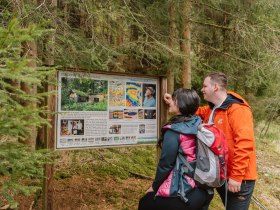 Kamptal zwischen Zwettl und Roiten, Wasserwunderweg, Wandern, &copy; Waldviertel Tourismus, @nadinechristine__