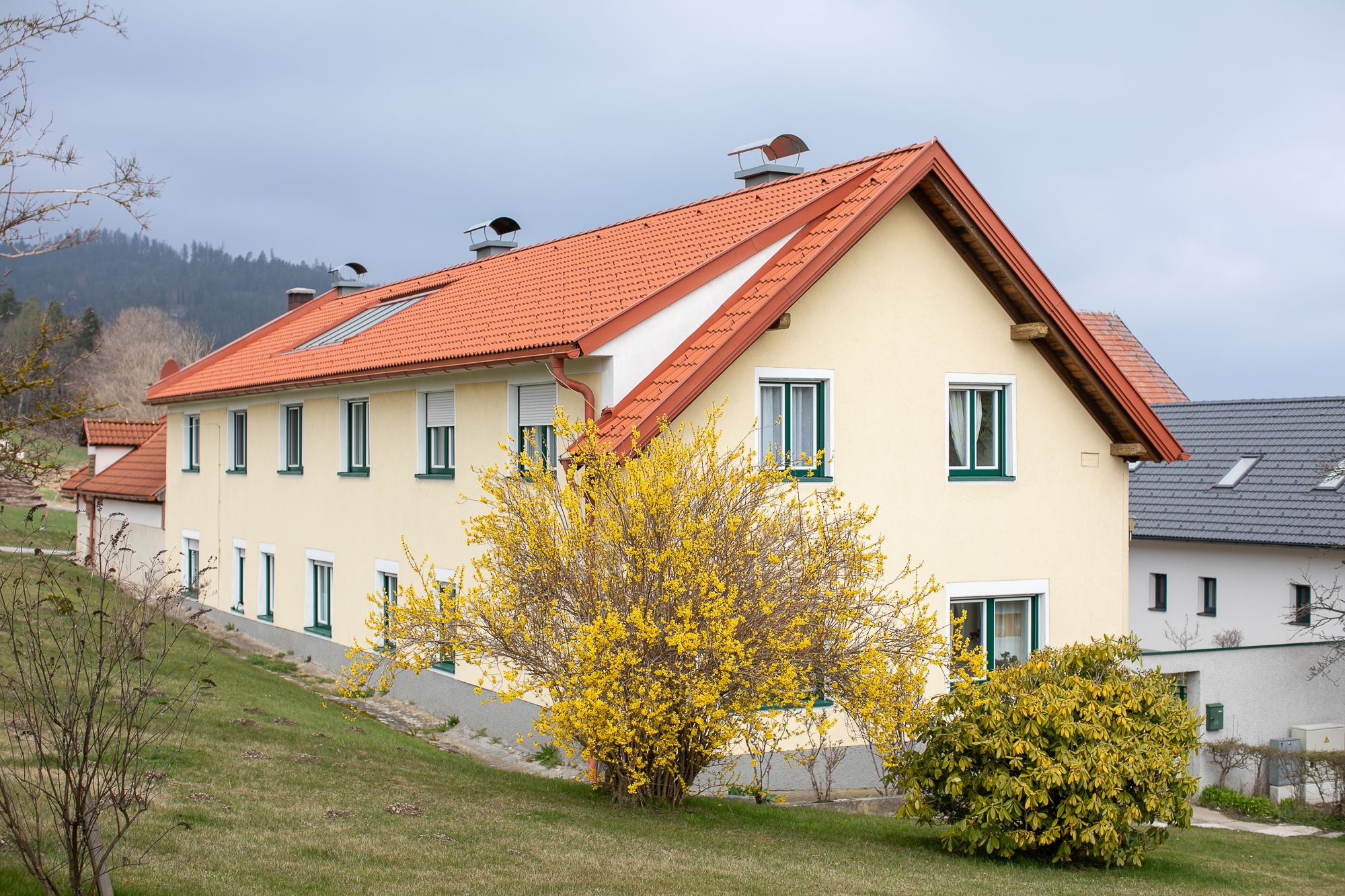 Sárga ház piros tetővel és virágzó bokorral az előtérben.