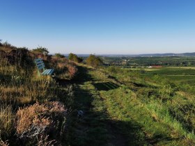 Golitschweg, &copy; Retzer Land