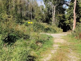 Aubergweg, &copy; Marktgemeinde Hoheneich