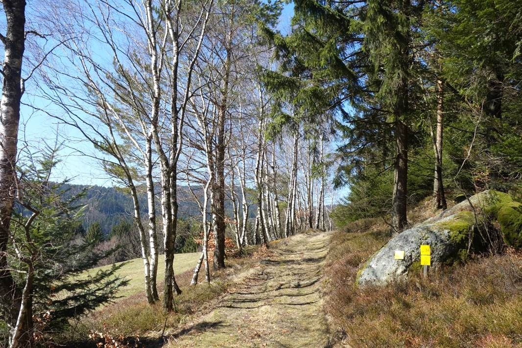 Herzstein út