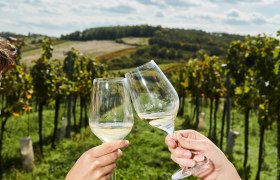 Toasting in the vineyard, &copy; Weinviertel Tourismus / Michael Liebert