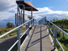 Kil&aacute;t&oacute;platform korl&aacute;tokkal egy szőlőskertben, k&eacute;k &eacute;g alatt.