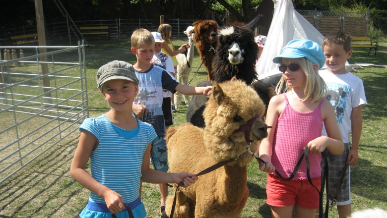 Alpaca hike, &copy; Alpaka Freizeitpark
