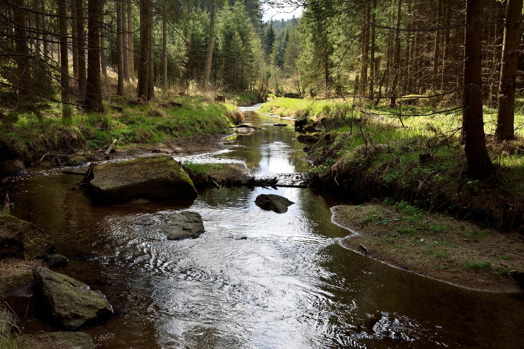 Zwettl folyó