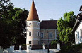 Fels am Wagram kast&eacute;lya toronnyal &eacute;s f&aacute;kkal az előt&eacute;rben.