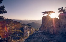 Frühling im Wienerwald, © Andreas Hofer