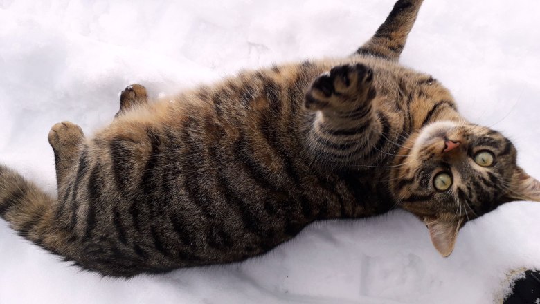 Winter at the Höchbauernhof, © Höchbauernhof