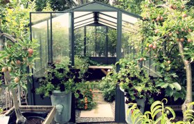 Glass house in the garden &copy; Lederleitner Krems, &copy; Lederleitner Krems