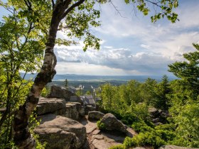 Mandelstein im Fr&uuml;hling, &copy; Freitag