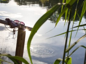 Badesee, &copy; Stadtgemeinde Traismauer