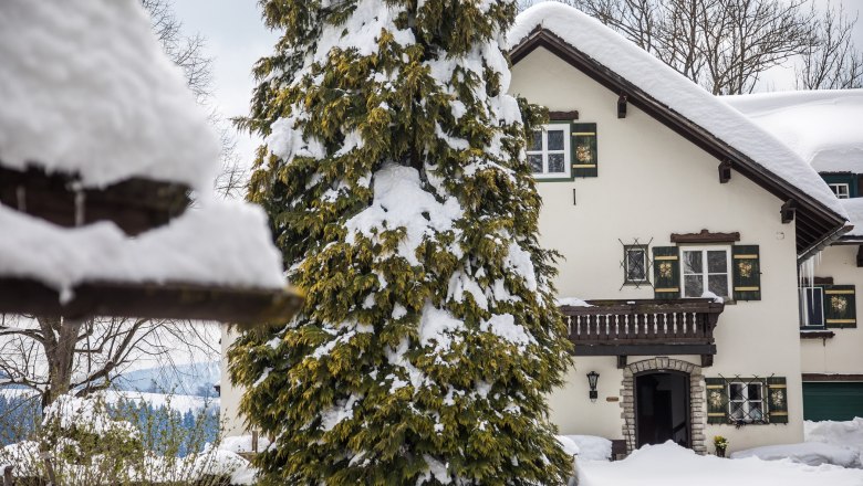 Kobichl in winter, &copy; fred lindmoser