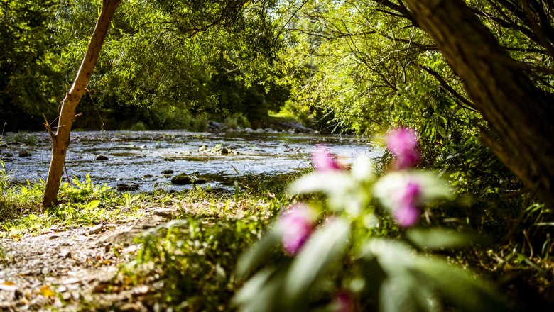 Mint a költészet, a Helenental, © Robert Herbst