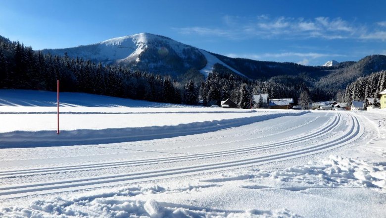 Perfectly groomed trails, &copy; Gerhard Pechhacker