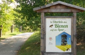 M&eacute;hek tan&ouml;sv&eacute;ny Oberleiserberg, &copy; Marktgemeinde Ernbstbrunn