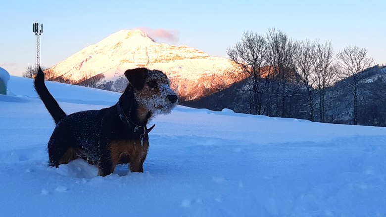 Winter at the Höchbauernhof, © Höchbauernhof