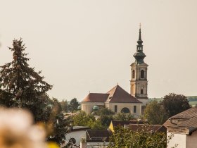 Weinherbst in Nieder&ouml;sterreich, Donau in Nieder&ouml;sterreich, &copy; Nieder&ouml;sterreich Werbung/Discover Austria