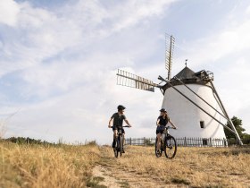 Radfahren, Weinviertel, Retzer Land, Windmühle, © Weinviertel Tourismus/Markus Frühmann