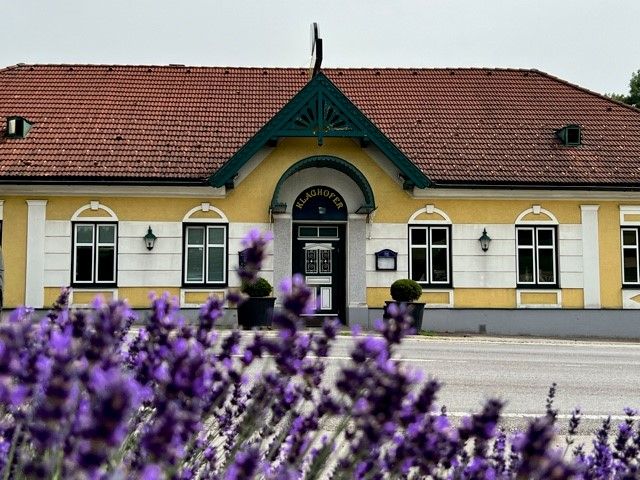 Sárga épület piros tetővel és zöld díszítéssel, az előtérben virágzó levendula.