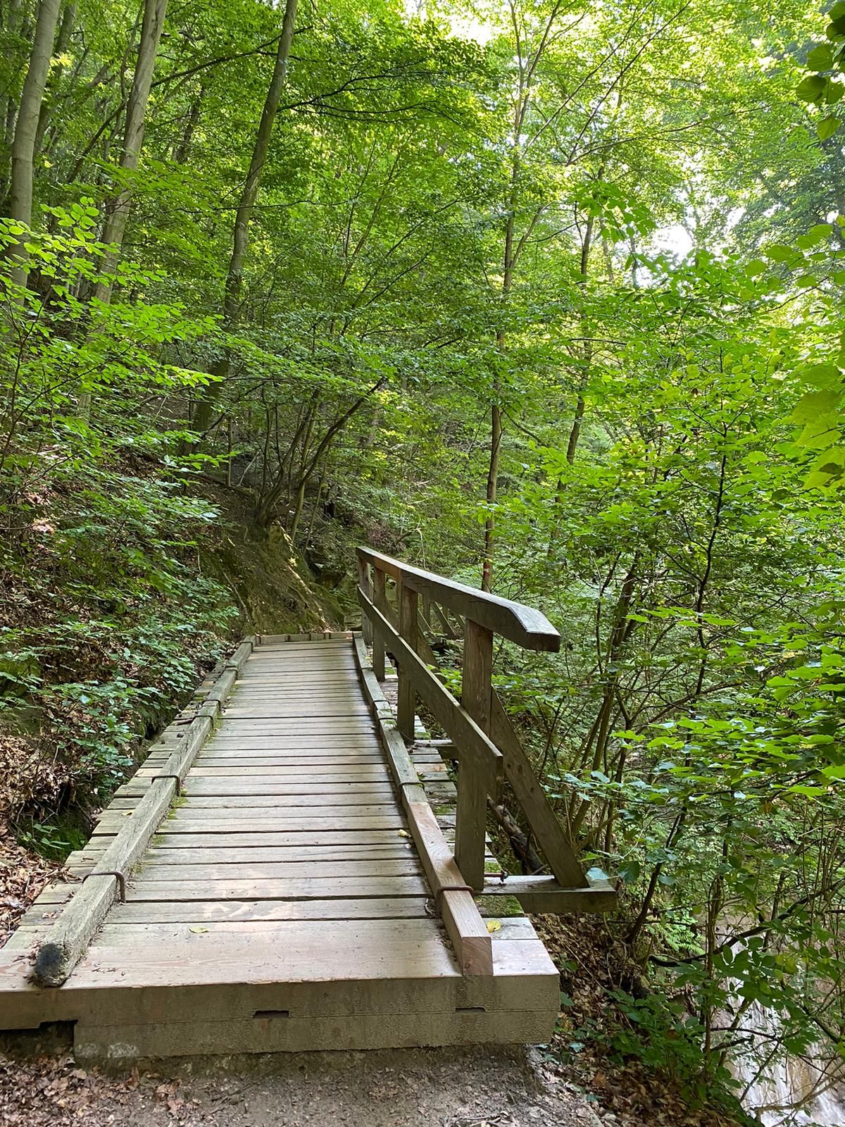 TDR Hagenbach-szurdok