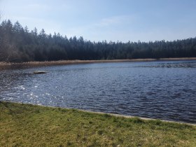 Gemeindeteich, &copy; Wolfgang Lechner