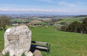 Karl Lammerhubern&eacute;zet, &copy; Brigitte Hofschwaiger