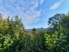 A  megtekint&eacute;se, &copy; Wienerwald